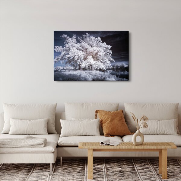Obraz - Snehobiely strom (90x60 cm)