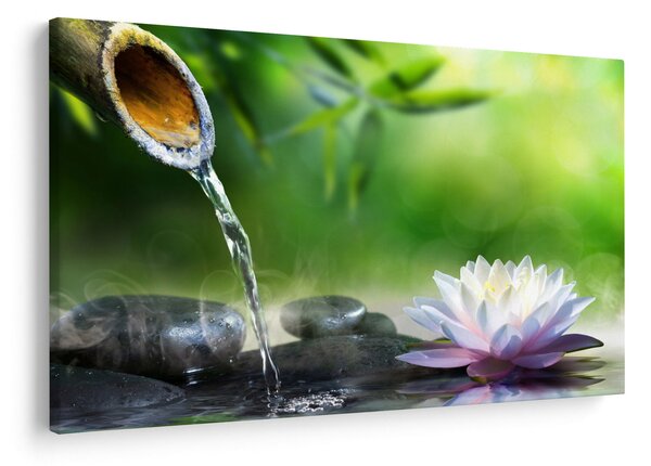 Obraz - Lotus (90x60 cm)