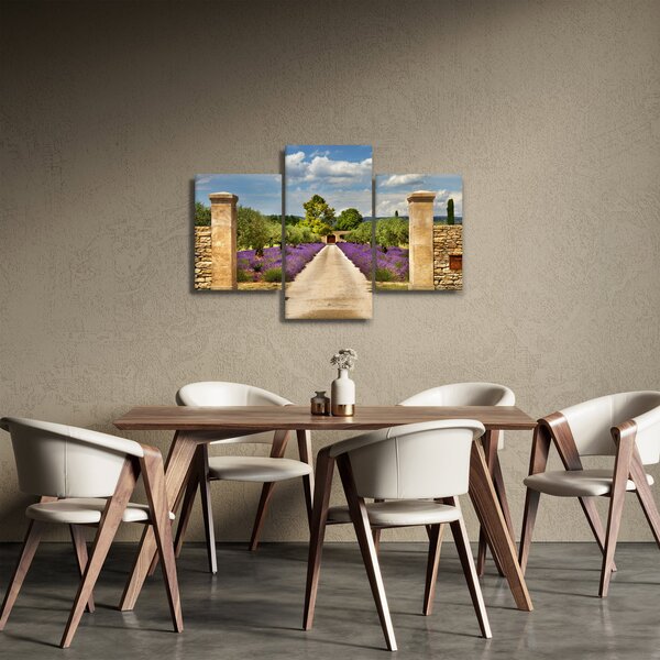 Obraz - Levanduľové cesty (90x60 cm)