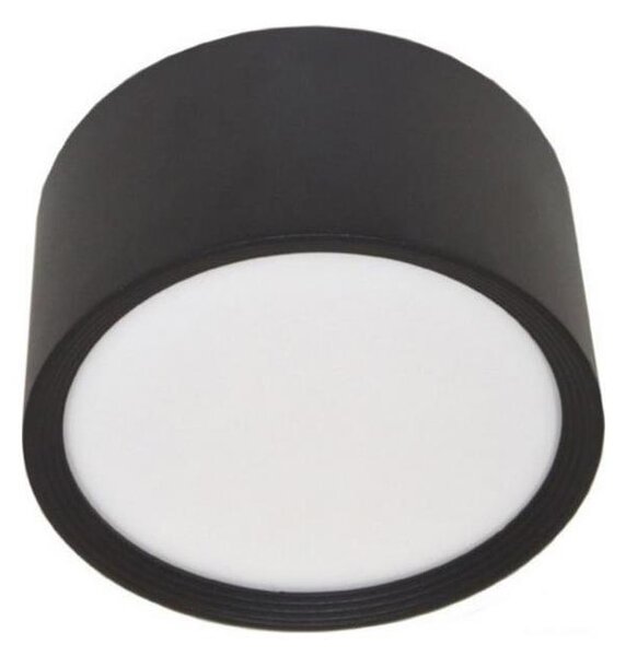 LED Stropné svietidlo PERCI LED/30W/230V IP40 4000K čierna