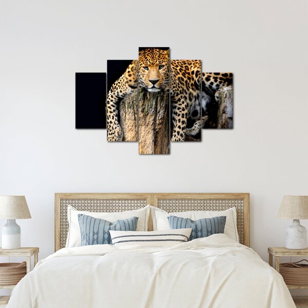 Obraz - Gepard (150x105 cm)