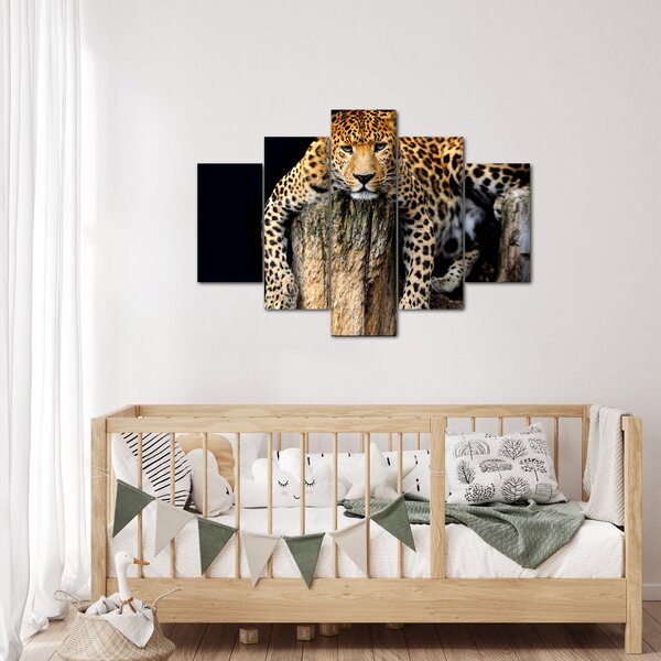 Obraz - Gepard (150x105 cm)
