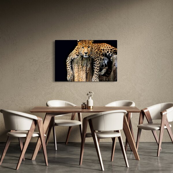 Obraz - Gepard (90x60 cm)