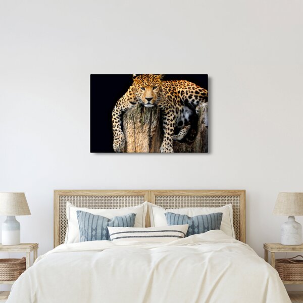 Obraz - Gepard (90x60 cm)