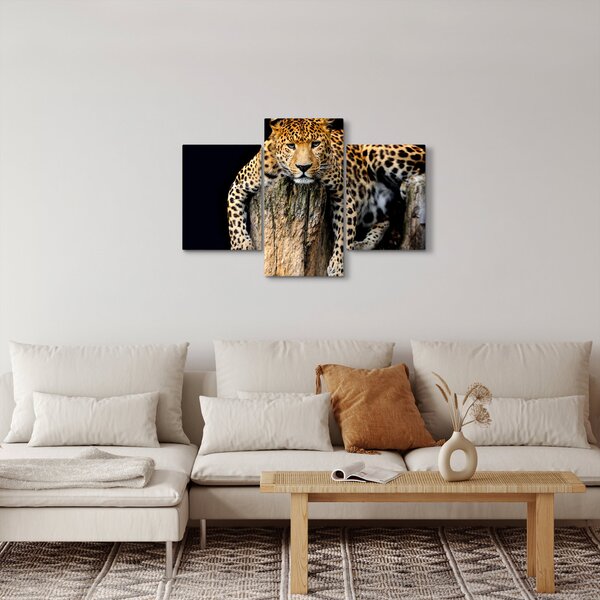 Obraz - Gepard (90x60 cm)