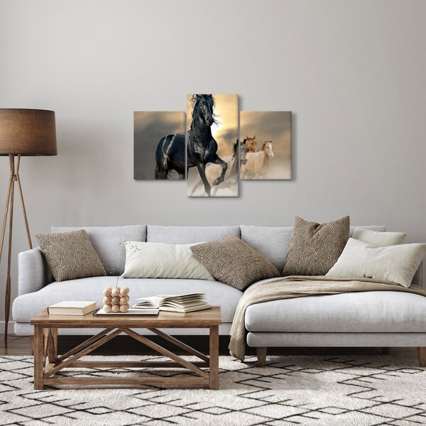 Obraz - Kone (90x60 cm)