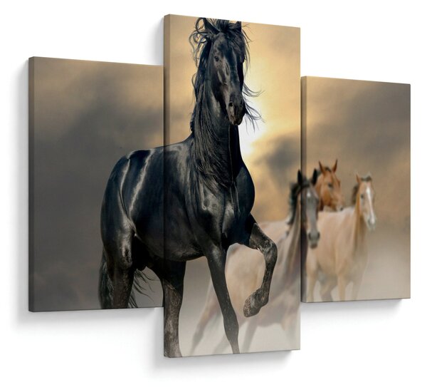 Obraz - Kone (90x60 cm)