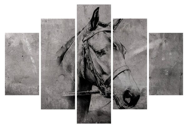 Obraz - Portrét koňa (150x105 cm)