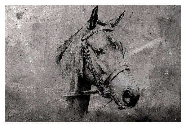 Obraz - Portrét koňa (90x60 cm)