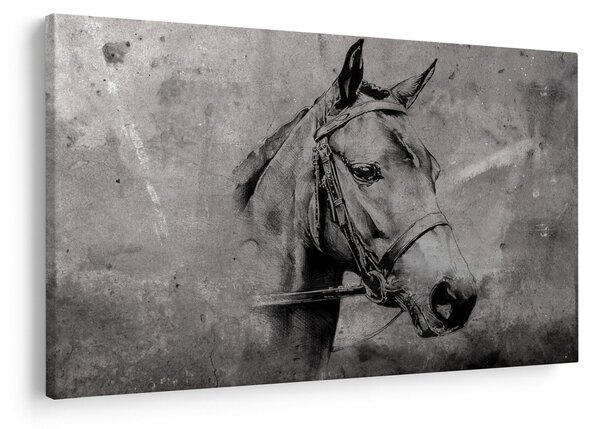 Obraz - Portrét koňa (90x60 cm)