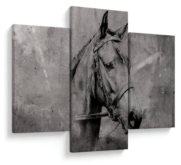 Obraz - Portrét koňa (90x60 cm)