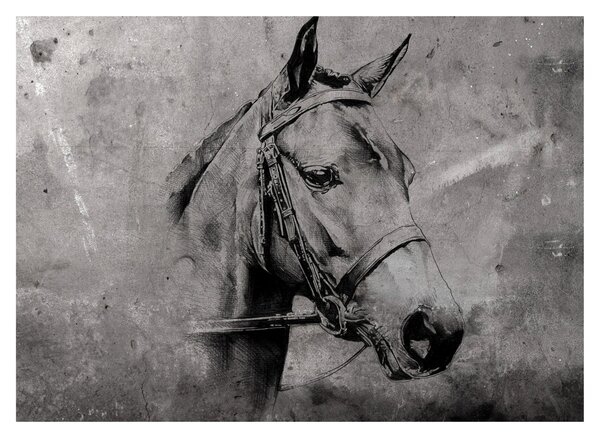 Obraz - Portrét koňa (70x50 cm)