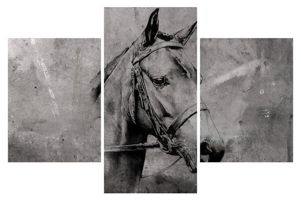 Obraz - Portrét koňa (90x60 cm)