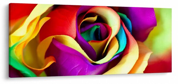 Obraz - Farebná ruža (120x50 cm)