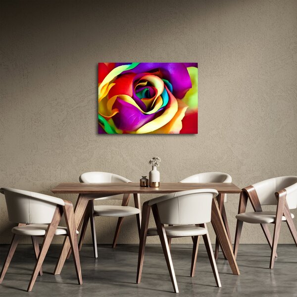 Obraz - Farebná ruža (70x50 cm)
