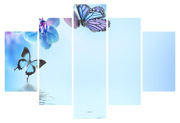 Obraz - Motýľ na kvetoch orchidey, modrý (150x105 cm)