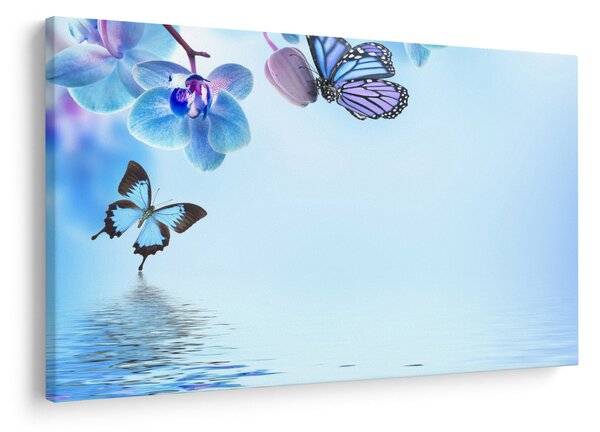 Obraz - Motýľ na kvetoch orchidey, modrý (90x60 cm)