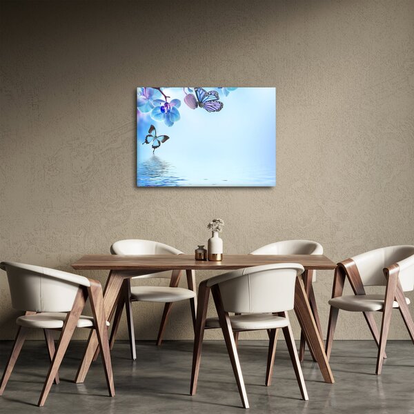 Obraz - Motýľ na kvetoch orchidey, modrý (70x50 cm)