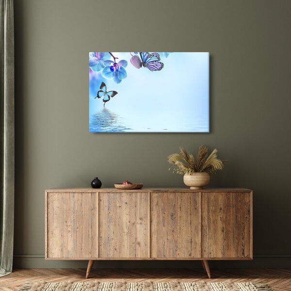 Obraz - Motýľ na kvetoch orchidey, modrý (90x60 cm)