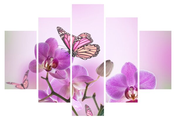 Obraz - Motýľ na kvetoch orchidey, lila (150x105 cm)