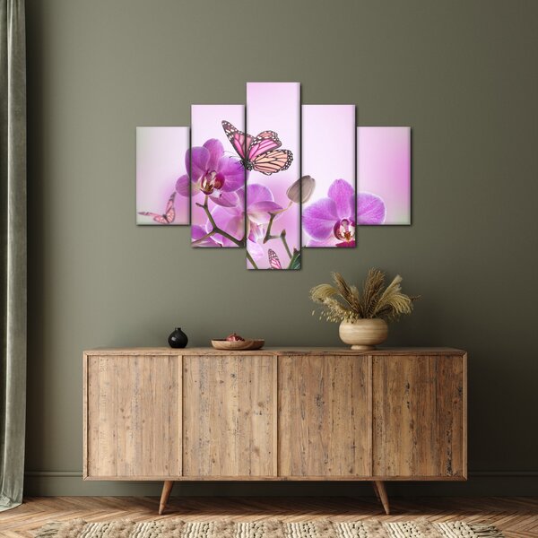 Obraz - Motýľ na kvetoch orchidey, lila (150x105 cm)