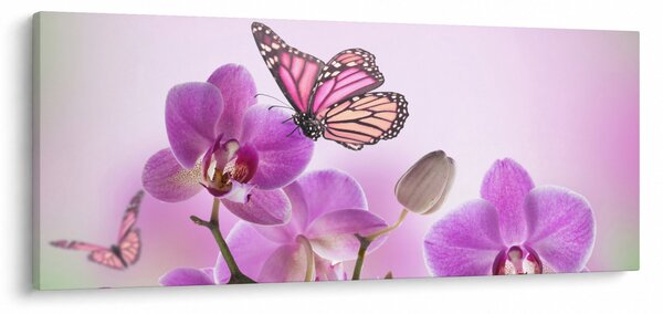 Obraz - Motýľ na kvetoch orchidey, lila (120x50 cm)