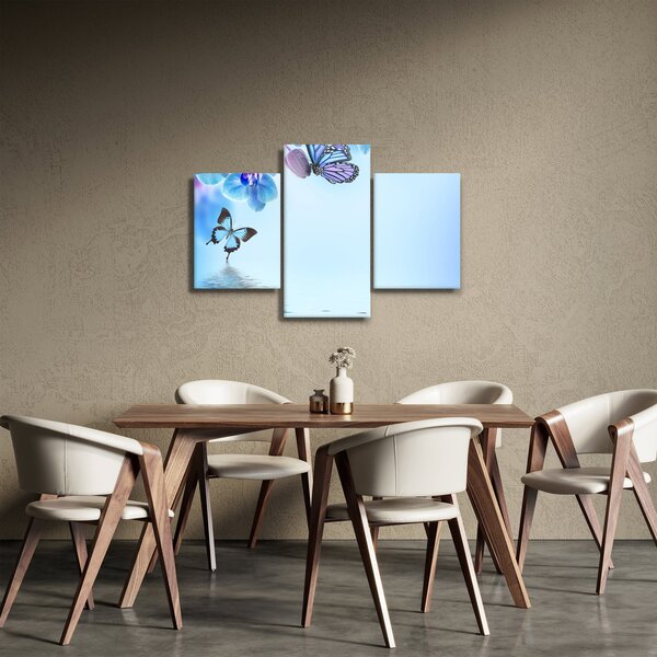 Obraz - Motýľ na kvetoch orchidey, modrý (90x60 cm)