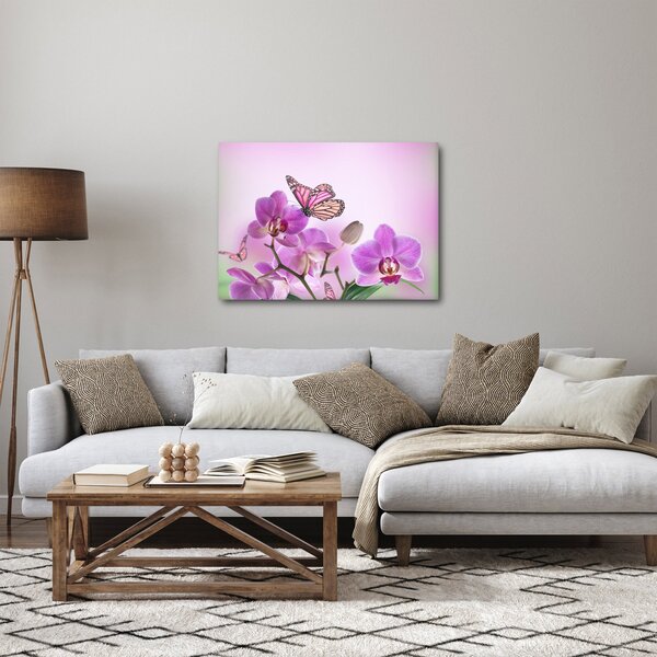 Obraz - Motýľ na kvetoch orchidey, lila (70x50 cm)