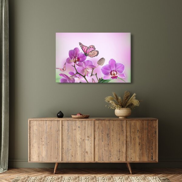 Obraz - Motýľ na kvetoch orchidey, lila (90x60 cm)