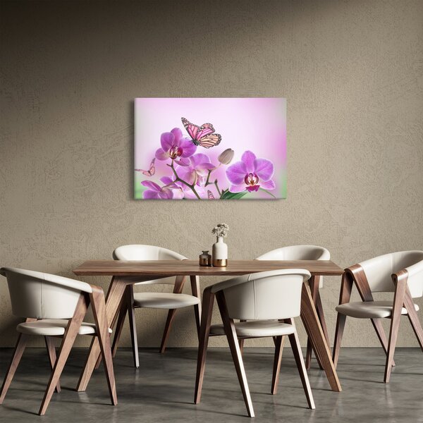 Obraz - Motýľ na kvetoch orchidey, lila (90x60 cm)