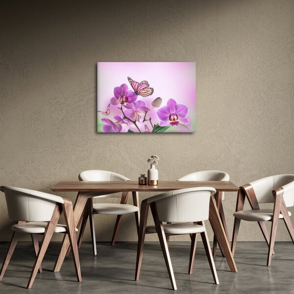 Obraz - Motýľ na kvetoch orchidey, lila (70x50 cm)
