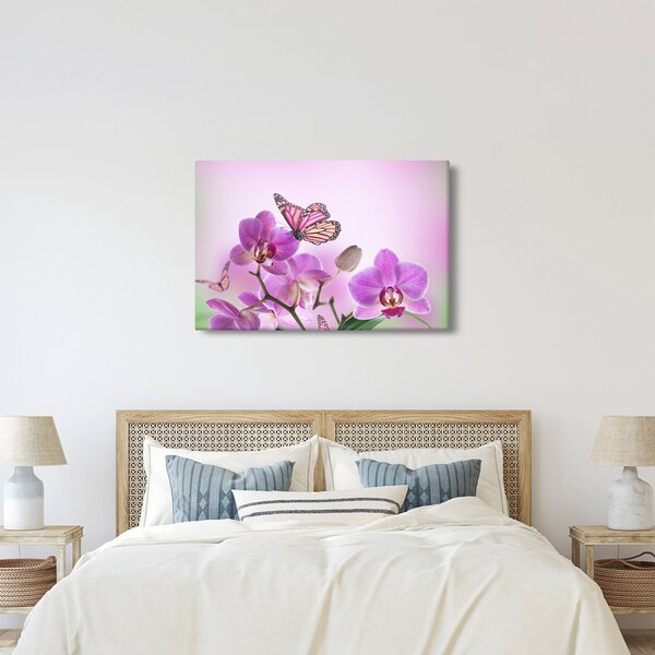 Obraz - Motýľ na kvetoch orchidey, lila (90x60 cm)