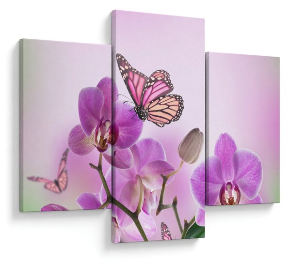 Obraz - Motýľ na kvetoch orchidey, lila (90x60 cm)