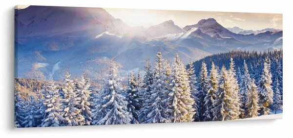 Obraz - Horská krajina v zime (120x50 cm)