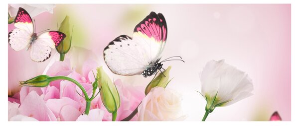 Obraz - Motýľ (120x50 cm)