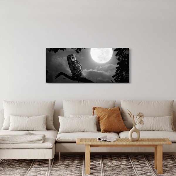Obraz - Nočná sova, čiernobiela (120x50 cm)
