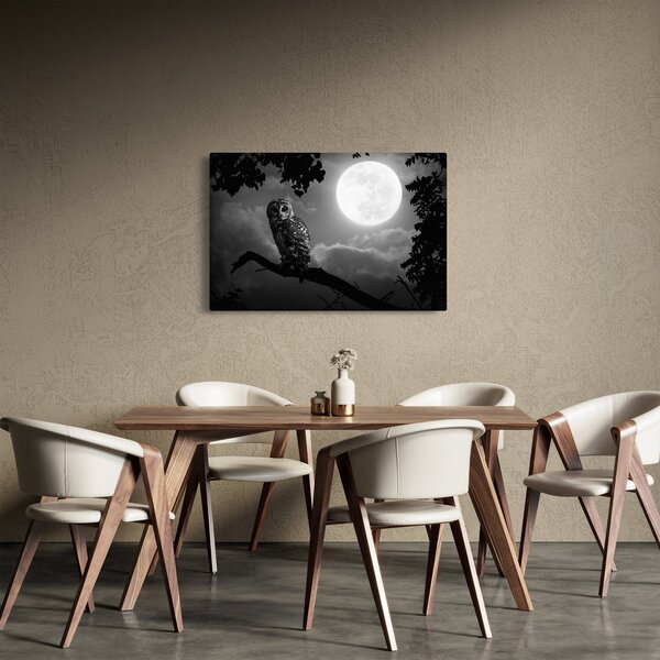 Obraz - Nočná sova, čiernobiela (90x60 cm)