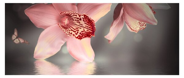 Obraz - Kvety a motýľ (120x50 cm)