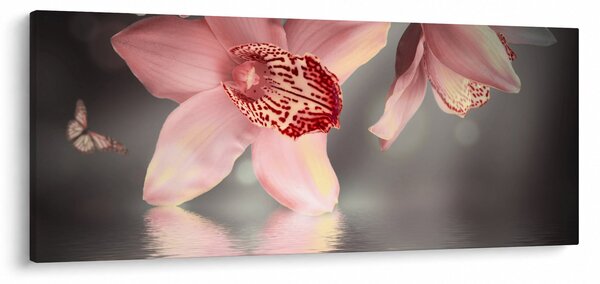 Obraz - Kvety a motýľ (120x50 cm)