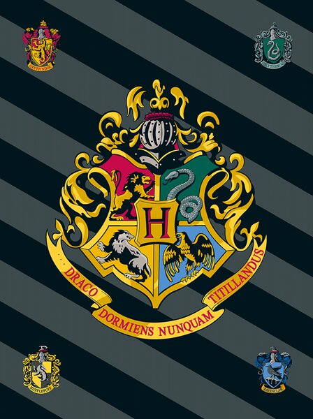 Jerry Fabrics Jerry Fabrics fleecová detská deka Harry Potter "HP067" 100x150 cm