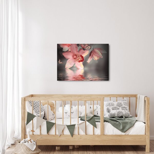 Obraz - Kvety a motýľ (70x50 cm)