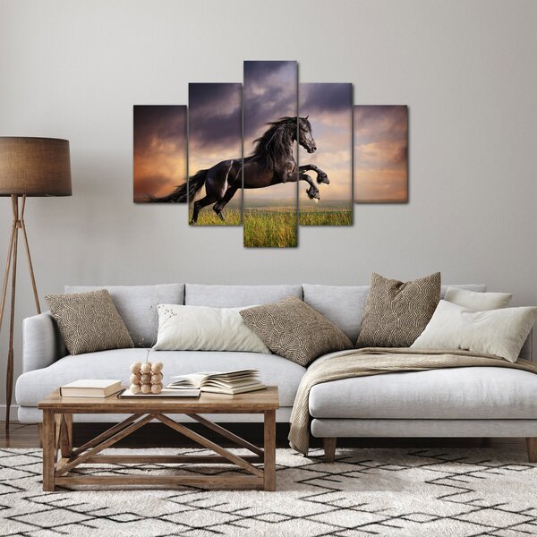 Obraz - Kone (150x105 cm)