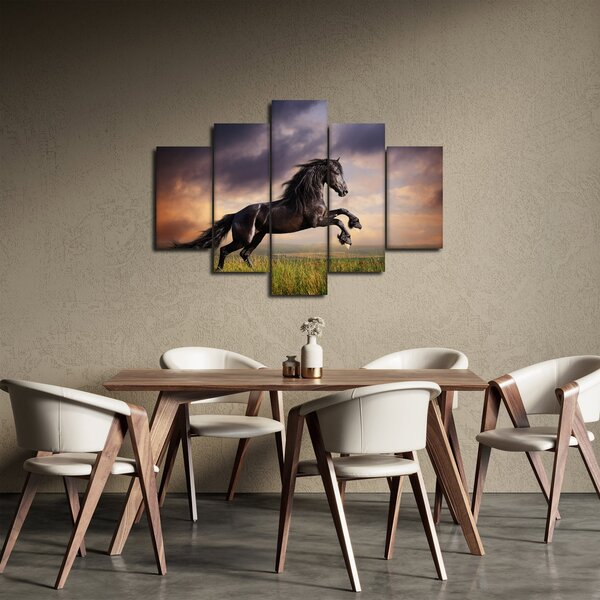 Obraz - Kone (150x105 cm)