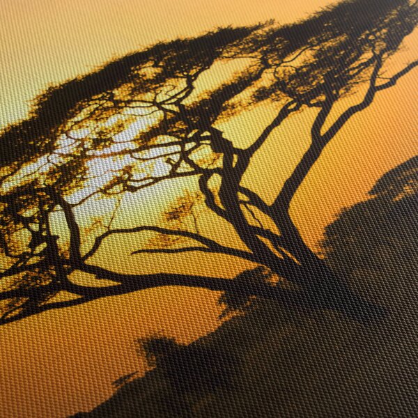 Obraz - Africká savana (90x60 cm)