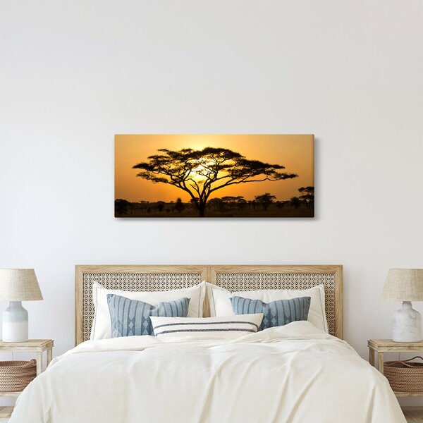 Obraz - Africká savana (120x50 cm)