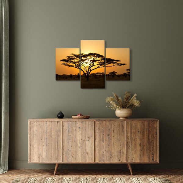 Obraz - Africká savana (90x60 cm)