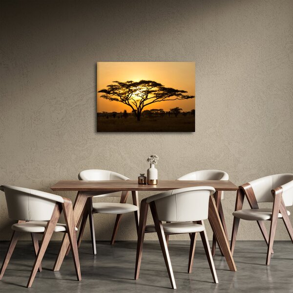 Obraz - Africká savana (70x50 cm)