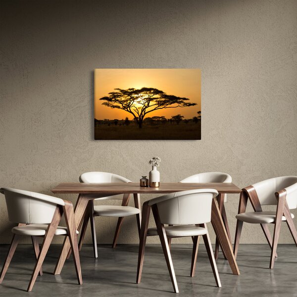 Obraz - Africká savana (90x60 cm)