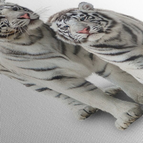 Obraz - Biely tiger (90x60 cm)