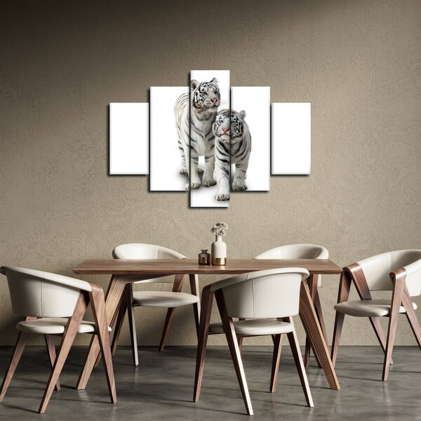 Obraz - Biely tiger (150x105 cm)